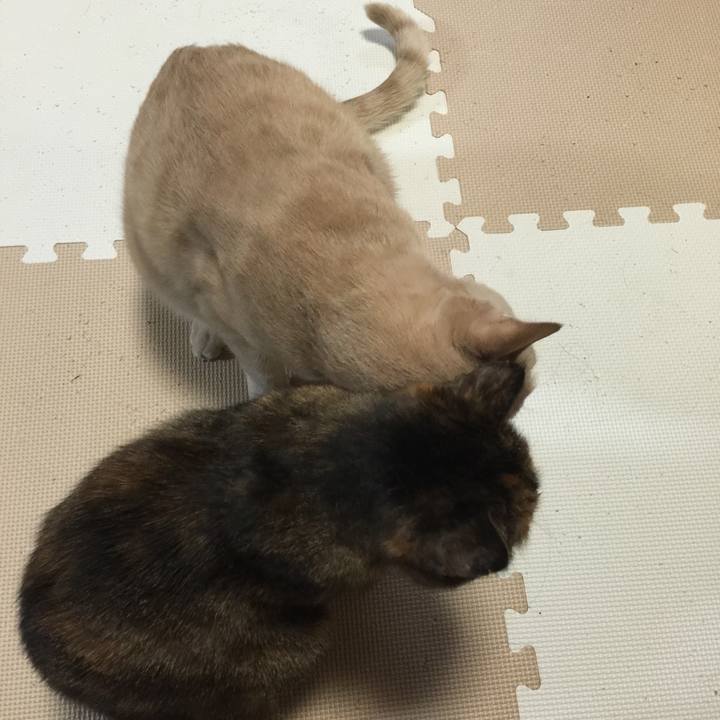 C742ab1d 15c4 49e1 843a 981c4e17a477