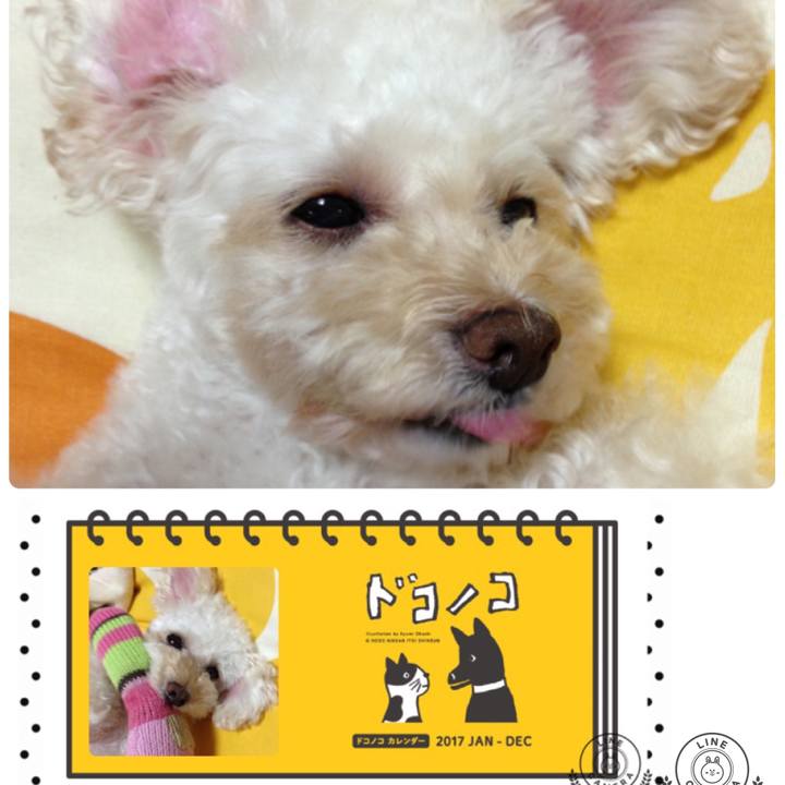 C742b8b0 15a1 47cc b693 a6b775681751