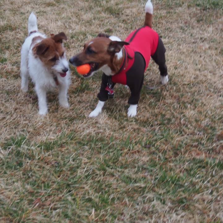 C7438483 bc48 4c26 b2c6 199a809fee6a