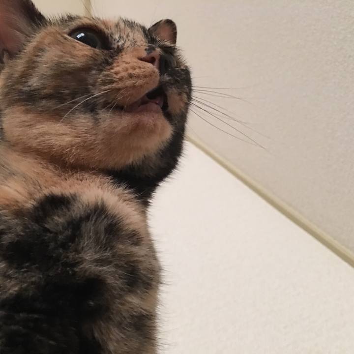 C7440c44 1017 4567 a081 7238d2b84f2c