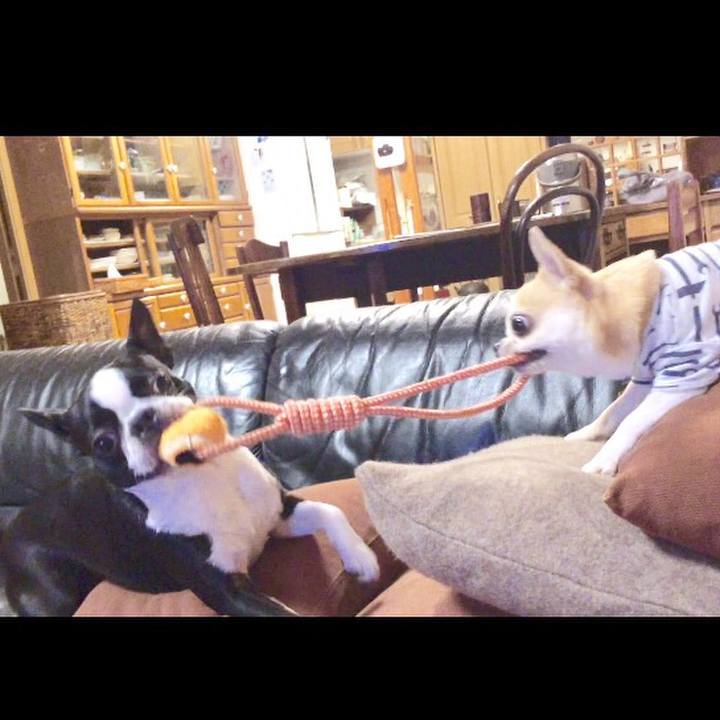 C7441ed9 c77f 4f66 a506 12494d459119