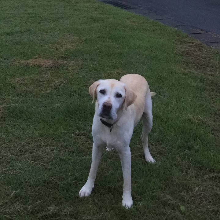 C744829a 2dd8 4211 a506 d925ca4c156f