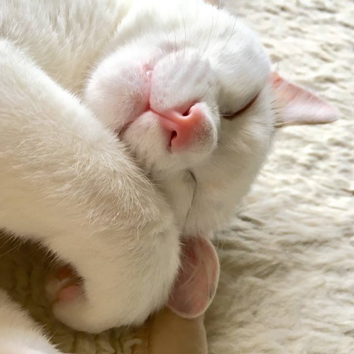 C7466508 8342 4f00 ae9c ed6e7ddb1a57