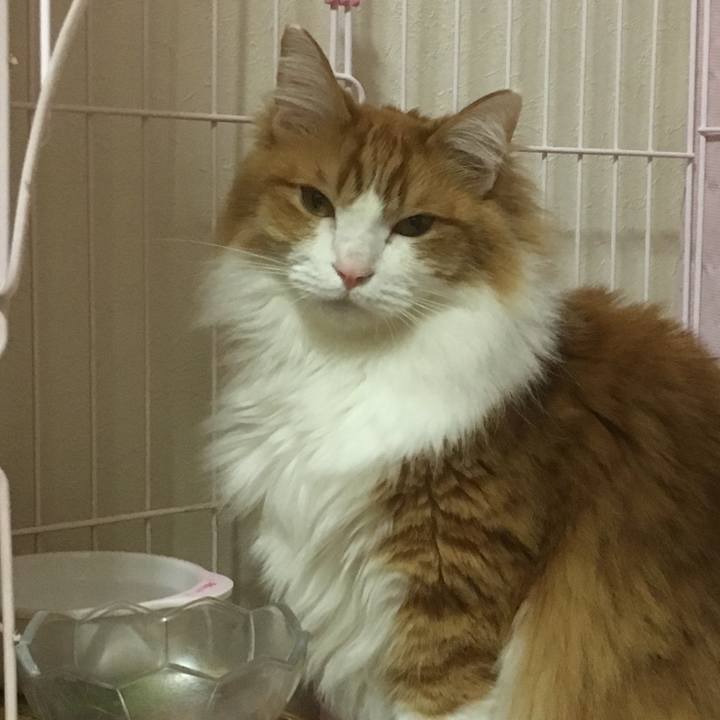 C747005d 6d15 413e bd30 98a1a6fd2a04