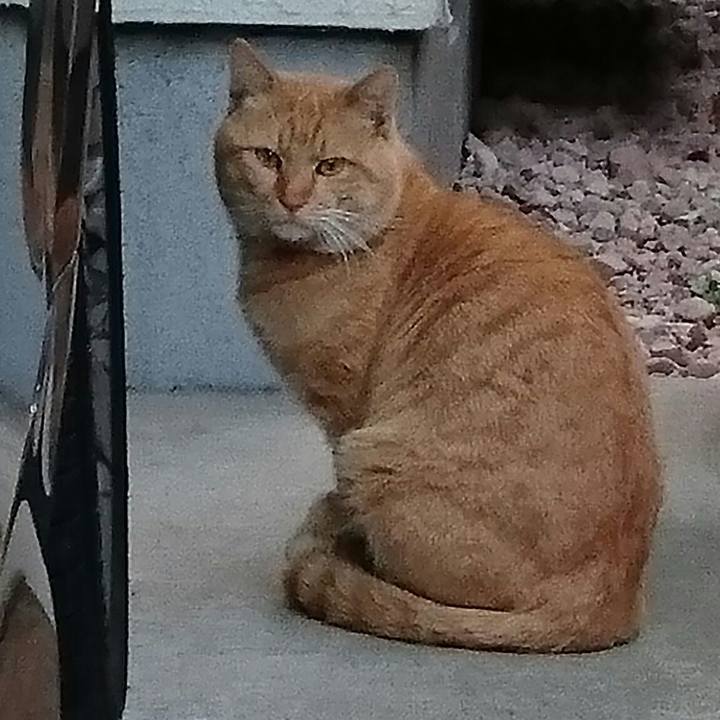 C7471c31 4479 4ae7 ae3d 00a7b401101f