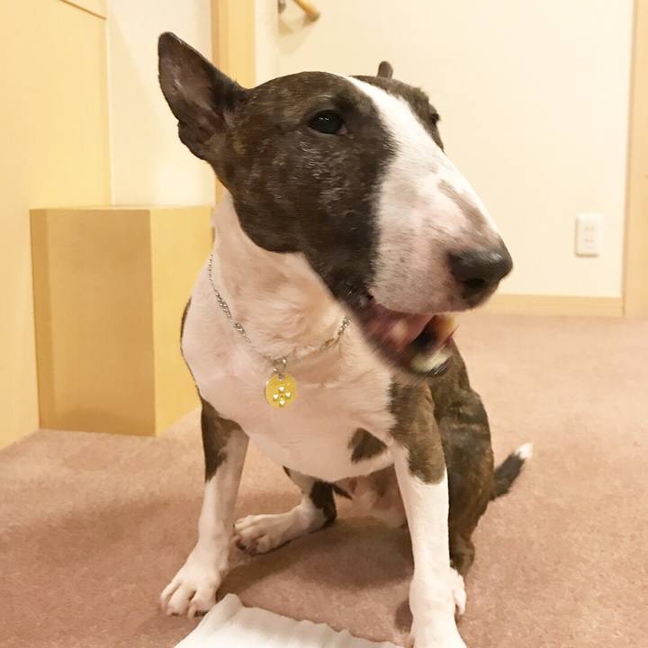 C747557c 0c71 4c51 bb0e 5a2528ea8b8c