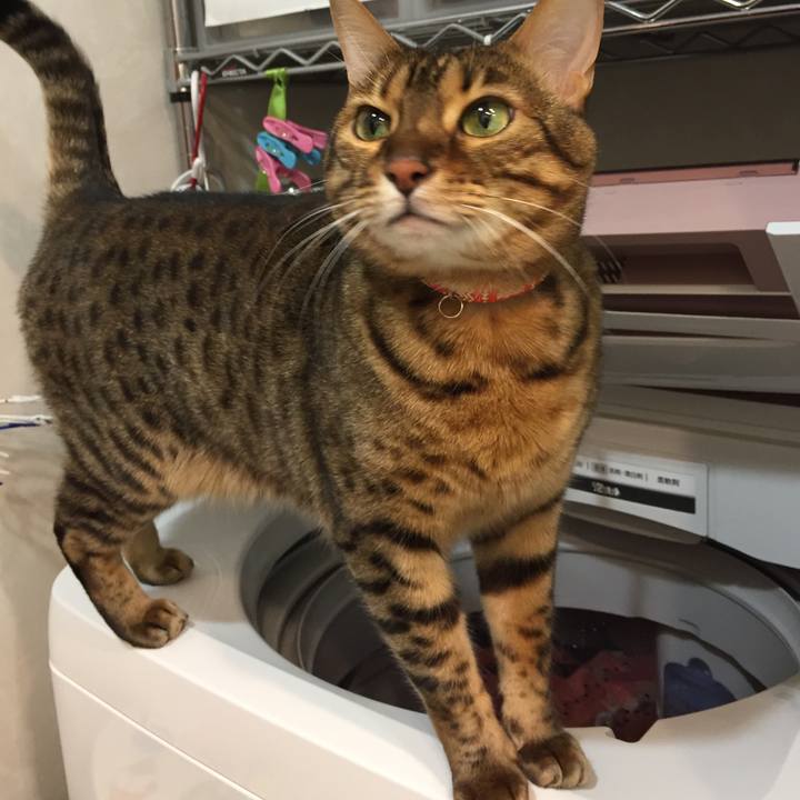 C7480e6c fc9e 43b1 9873 80fd4daf474f