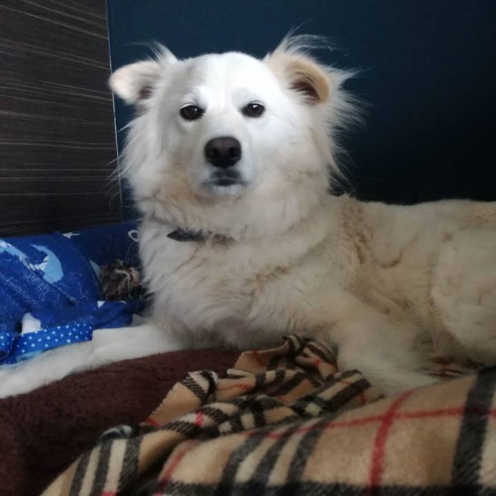 C7488ac6 ddb7 42b2 8a52 606b4f795f77