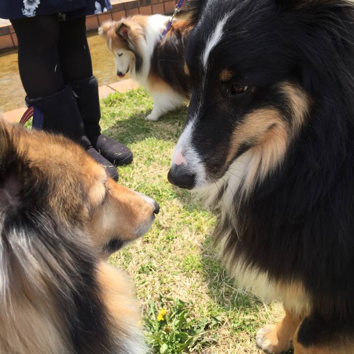 C74918b0 b344 4903 a94b c03daaaaf881