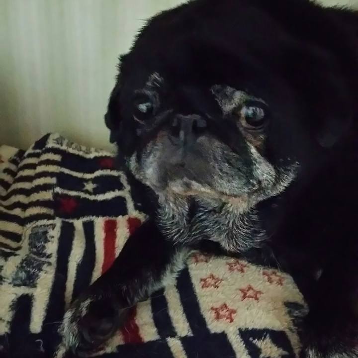 C7498969 9392 4c3f aeda db41ffbf8b79