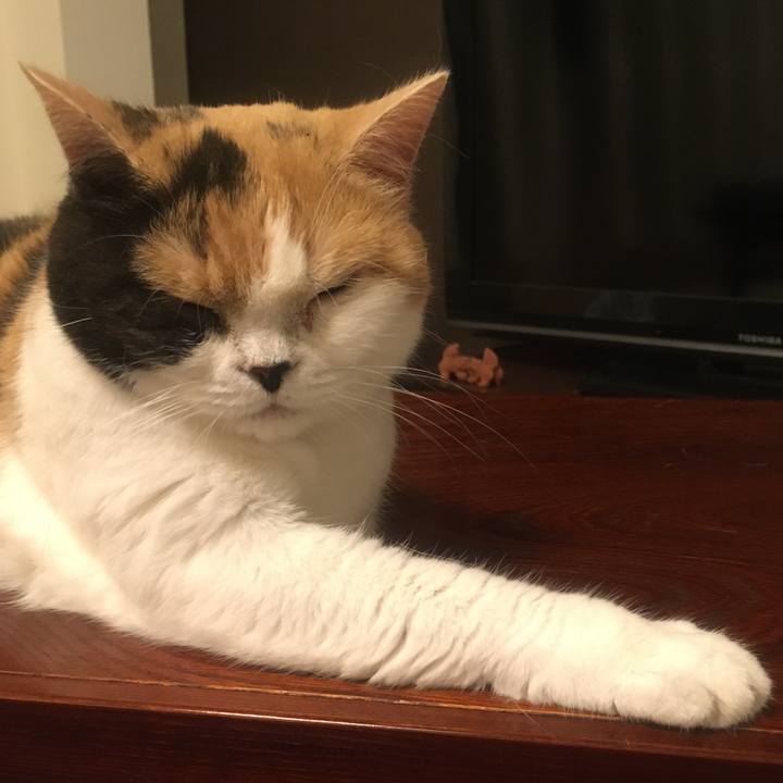 C74a108f c89a 4176 b67f 810905bfce05