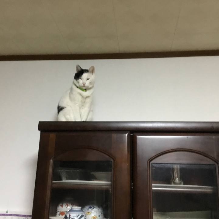 C74ac627 3738 4837 9e71 384fa1bb215f