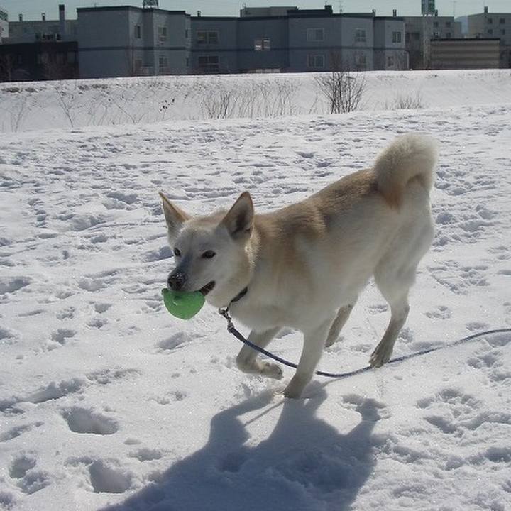 C74b4202 1701 4467 8772 74a6cee674a5