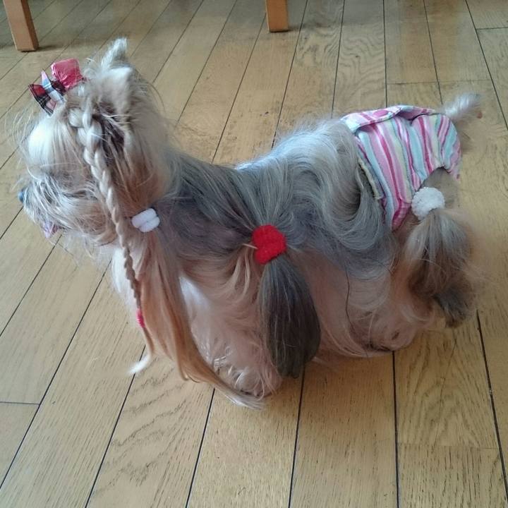 C74b9506 3be1 4ef3 966b 393678f4da2c