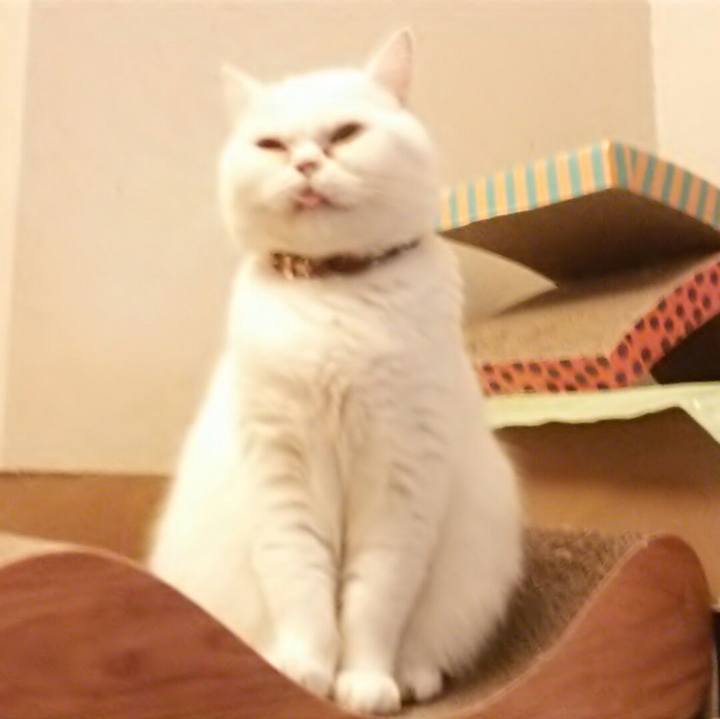 C74bbc2a a4f6 4cd3 8500 7682b8b3e73c