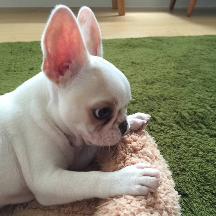 C74bd364 488f 4aca a347 9b59d6beb67c