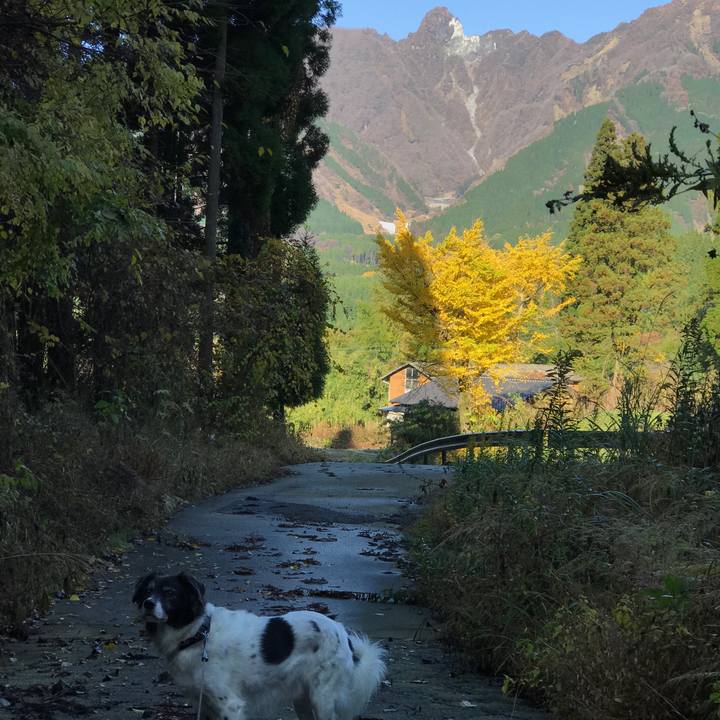 C74bea16 aa56 4757 9931 fe37ec1577eb