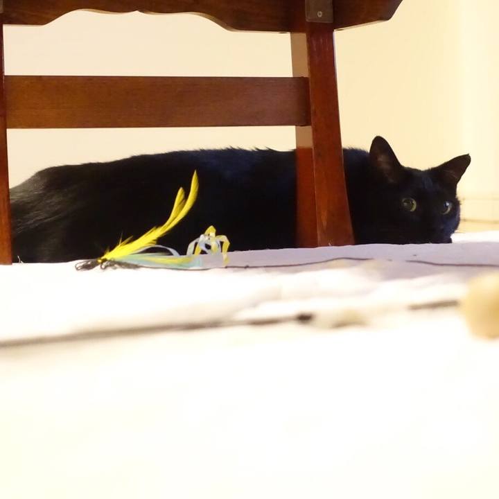 C74c8b15 f649 469b 95b5 eb8d29859d60