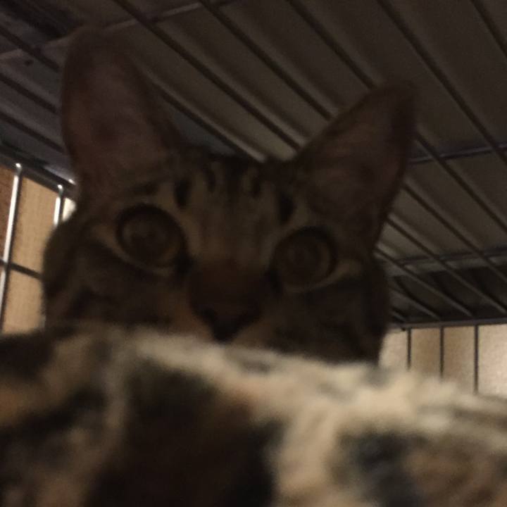 C74d7167 711b 49e1 a810 2375b7160523