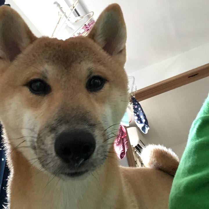 C74d951b 908e 474a b1af 64795b9ab7e6