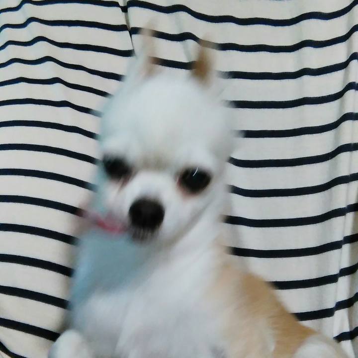 C74dcf1e b472 4c7e bb31 53663b74c008