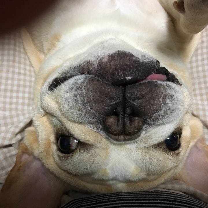 C74ea51c 759f 4aed 8e94 03d348bcec76