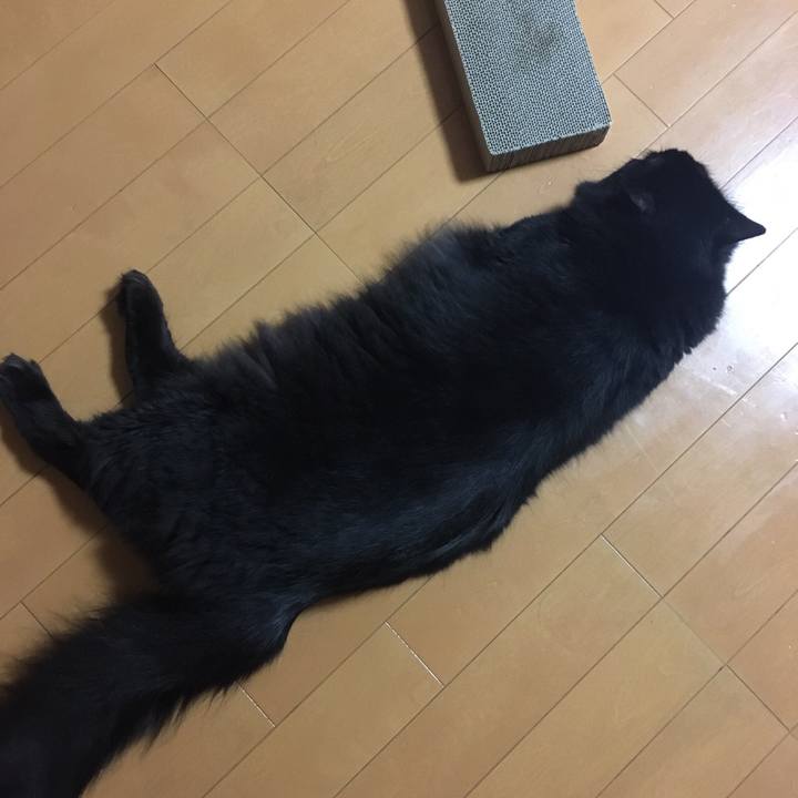 C74ec0db 45f9 4f9a b270 241c675d5c20