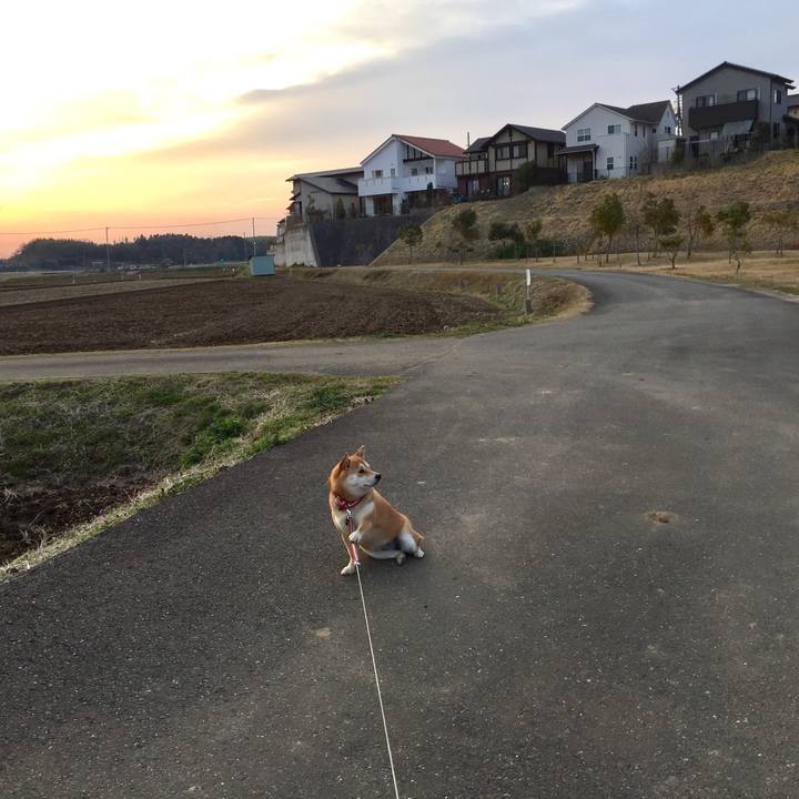 C74f3c75 3c52 413b bed0 29dba54c8d00