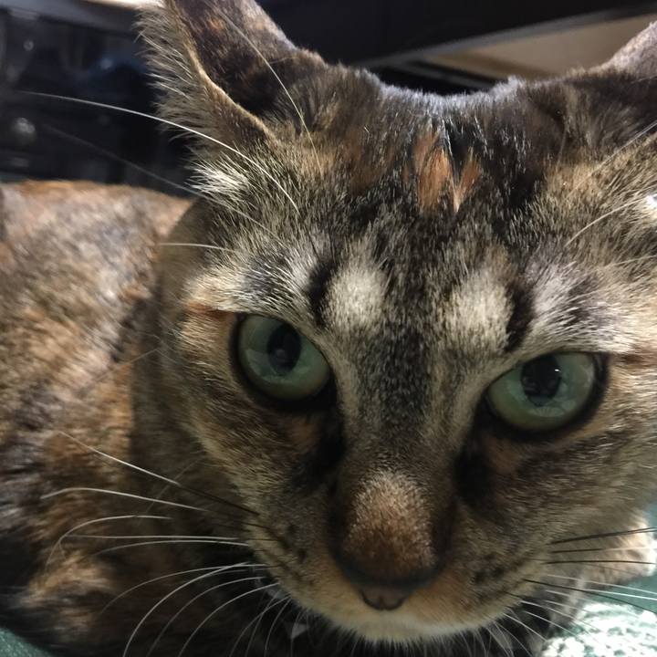 C74f5a0e 2521 4b83 95f2 5f32c7044388