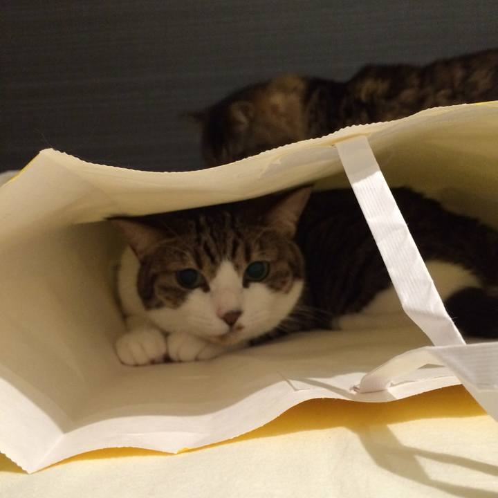 C74f9a2f 7b2d 4d8e 8d36 41c76f064053