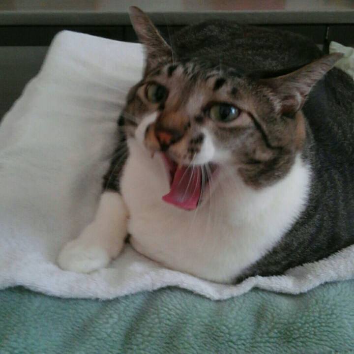 C74fdea2 2784 4990 b8f3 6c618a58920d