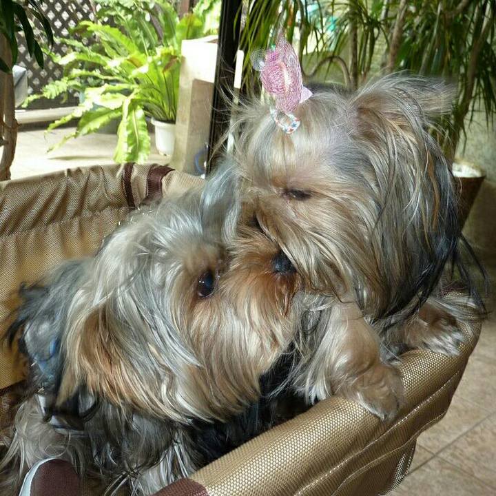 C75075f7 f75f 49a1 bddf 643c4904b846