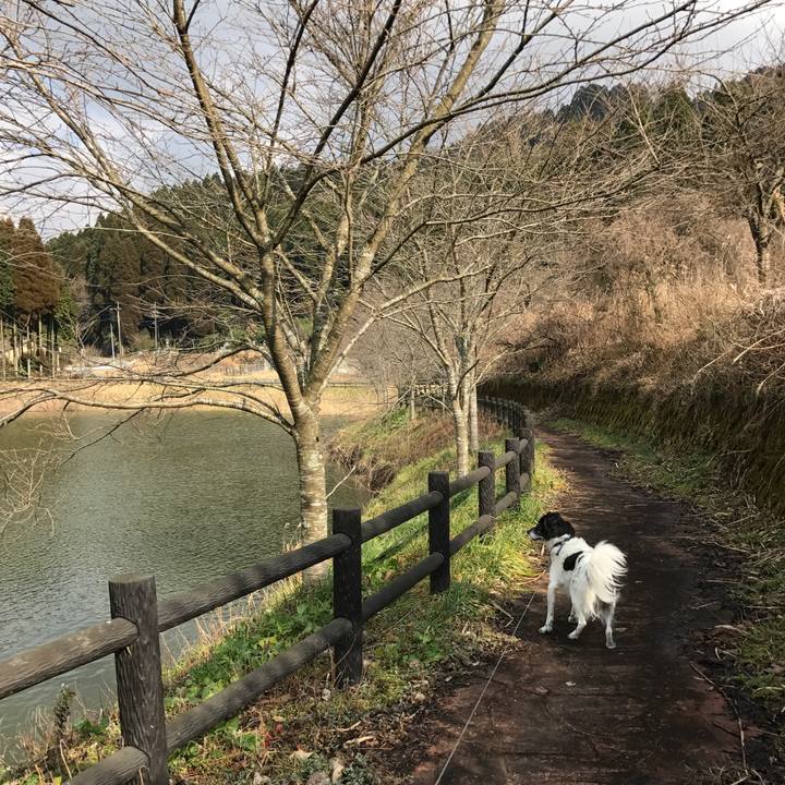 C751455c 16f2 45d7 a343 f44d23c4da9a