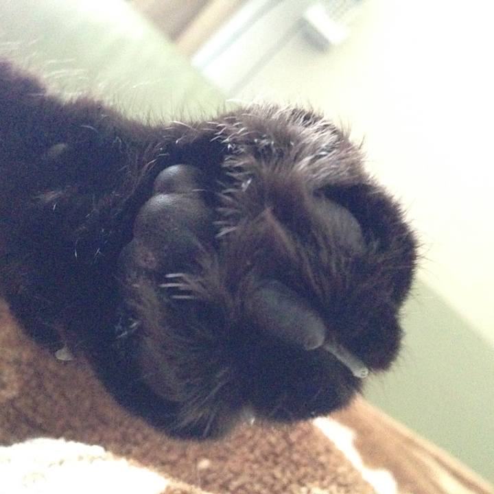 C751d0c8 e5b8 4e78 ac0b e313929e040f