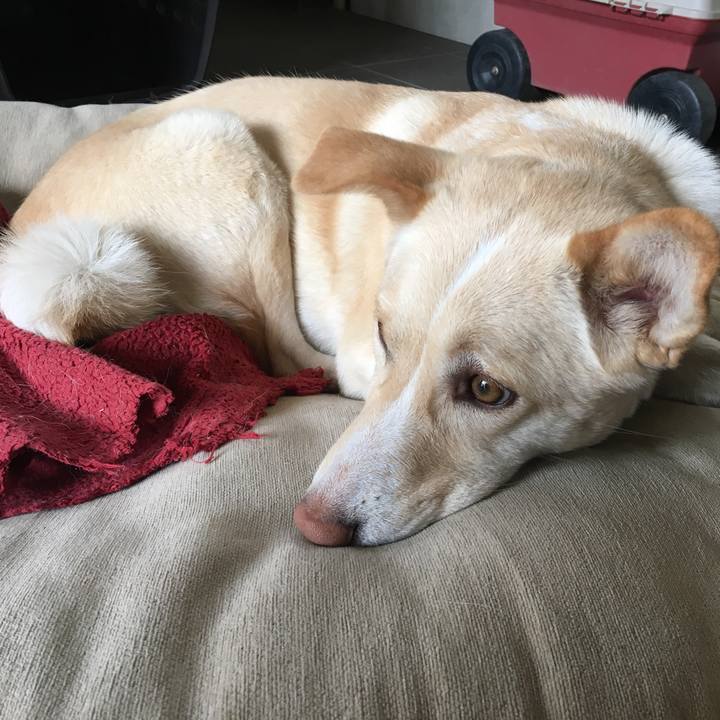 C75304d0 7d6b 46fe a4ad 196637675bac