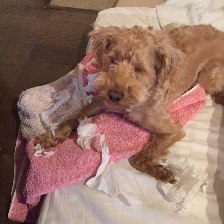 C7533e08 1f13 4772 965c 0259b2a3e24f