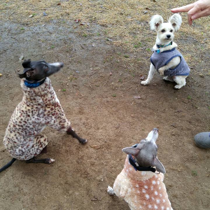 C7535f63 1486 47f9 b69b 9317a20a8092