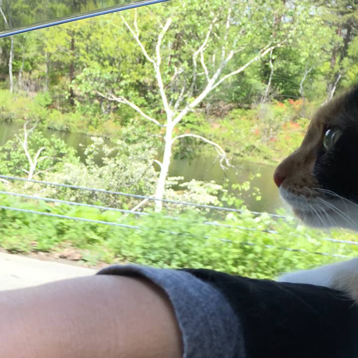 C7542f0f 1741 4a9d b1be 2c077e724389