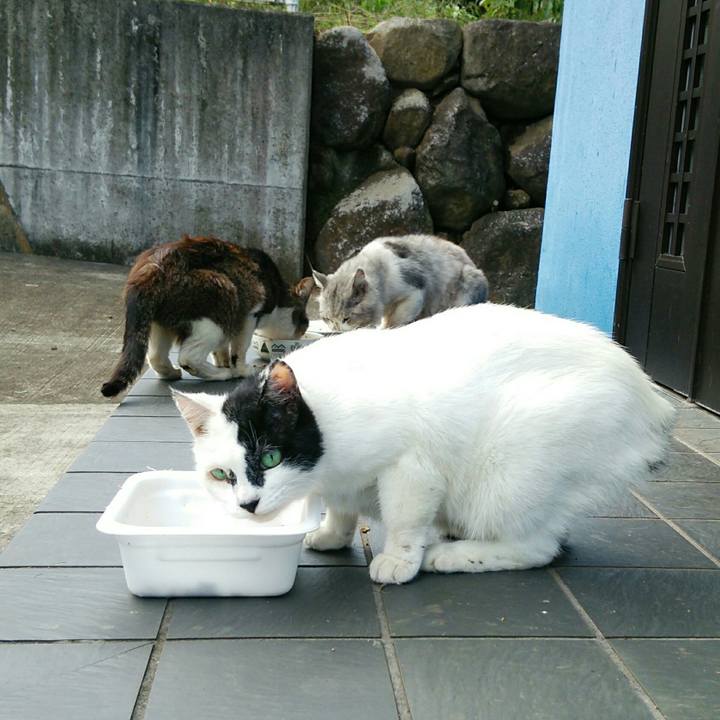 C7555a9d a25a 4461 bb76 4e7fdc139dc5