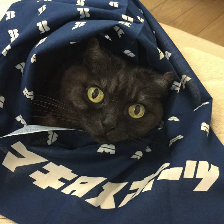 C755c283 4e66 47f5 ae04 db7f776cf9c0