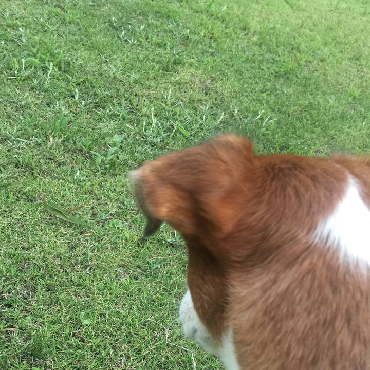 C755c69b 1b48 40c6 bf5d efa081f00d53