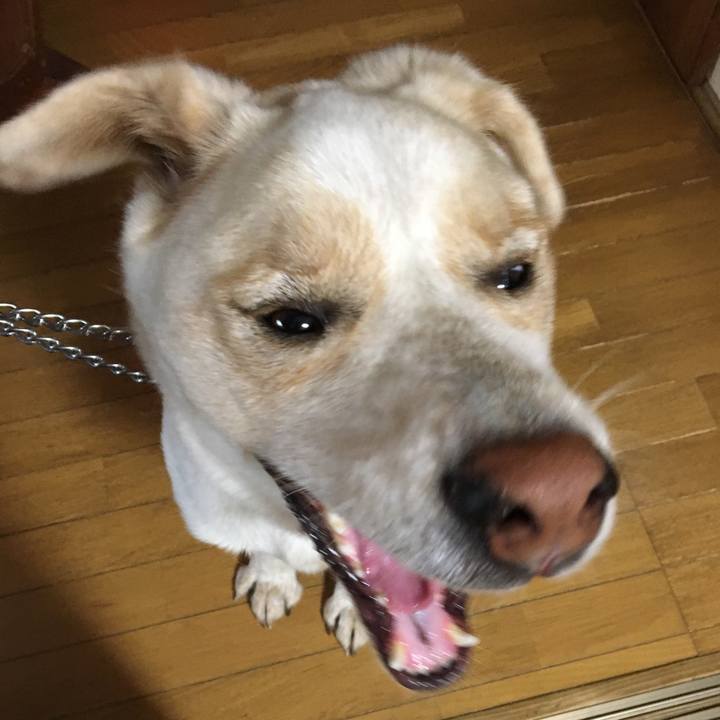 C755fb3b b1d2 4411 894e 357a44c96c2e