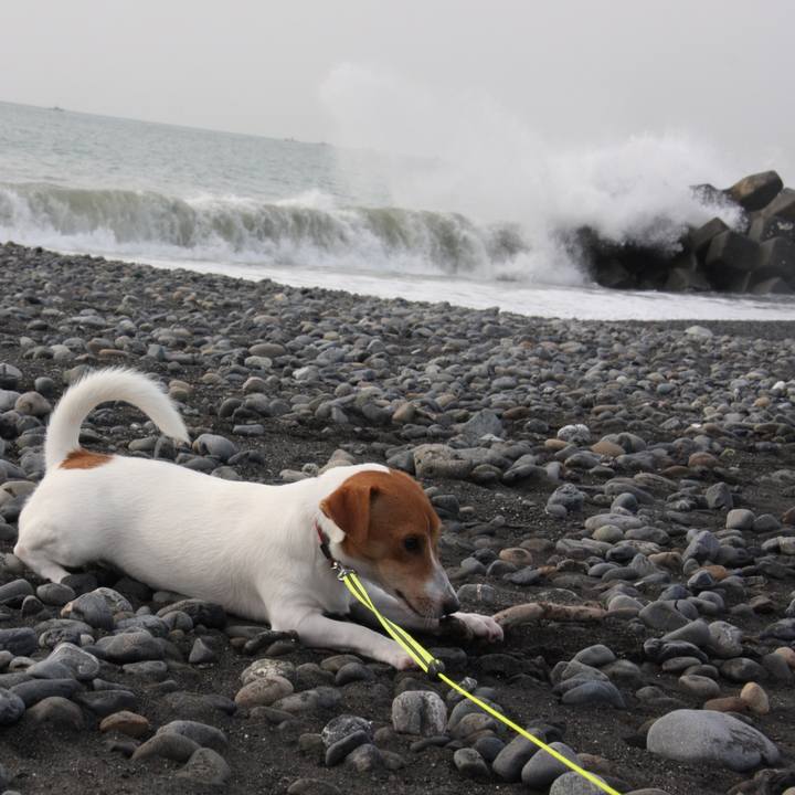 C756cba2 7463 4485 8c5b 1b6f4c6da285