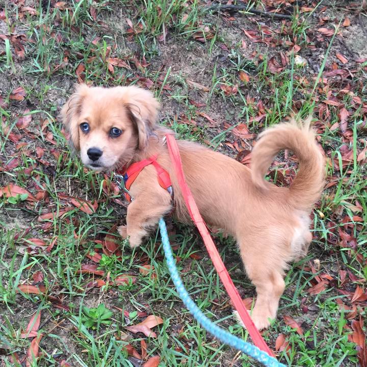 C756fc2f 37d7 4529 b80f f1e4b144cc4d