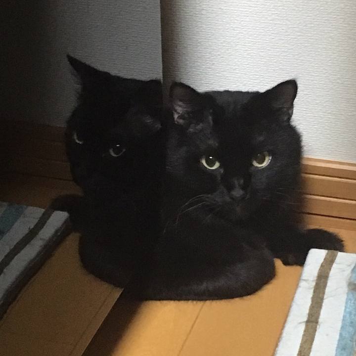 C75744d8 bfd2 4a27 8bf7 073bbf9b8191