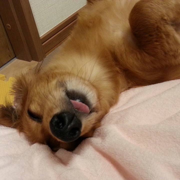 C7579b8a ba65 424d 938a deea5903e99e