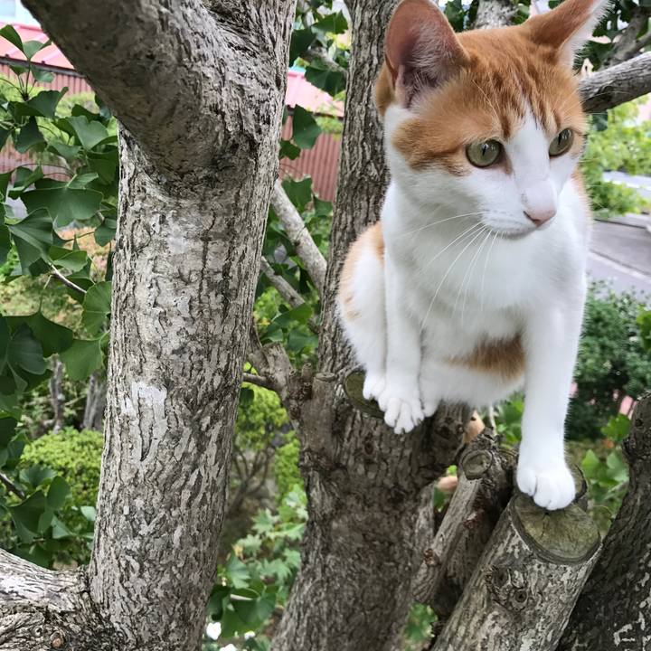 C757debd e5f6 477d b584 e2983dafda9c