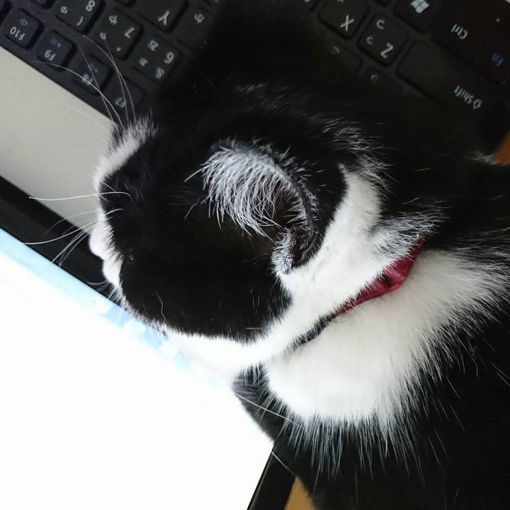 C757f7ba 02cd 4866 ad7e 890ea4c7f2b2