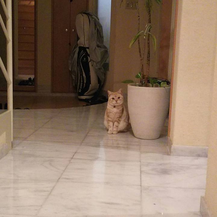 C75818ee 592a 4a57 86e6 7dffb4621e98