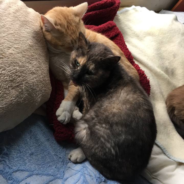 C758633c d612 4029 9dab 6bb915a3bb5f